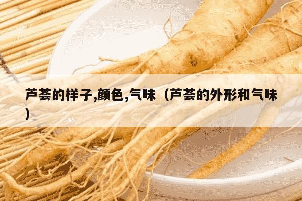 芦荟的样子,颜色,气味（芦荟的外形和气味）