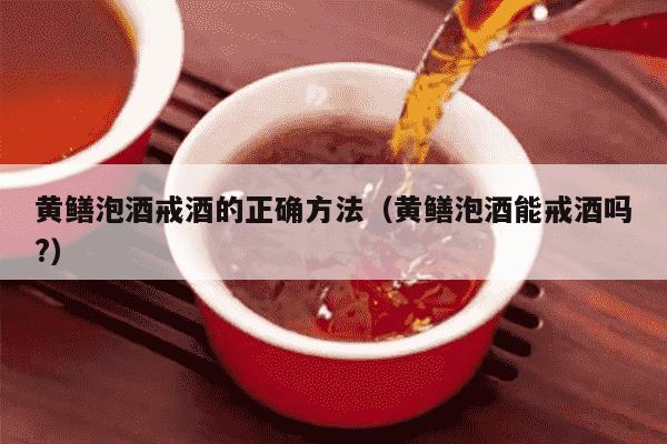 黄鳝泡酒戒酒的正确方法（黄鳝泡酒能戒酒吗?）