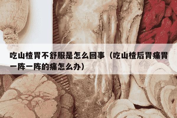 吃山楂胃不舒服是怎么回事（吃山楂后胃痛胃一阵一阵的痛怎么办）