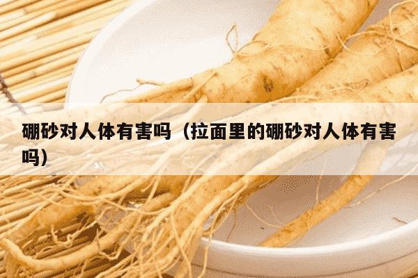 硼砂对人体有害吗（拉面里的硼砂对人体有害吗）