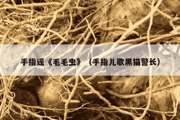 手指谣《毛毛虫》（手指儿歌黑猫警长）
