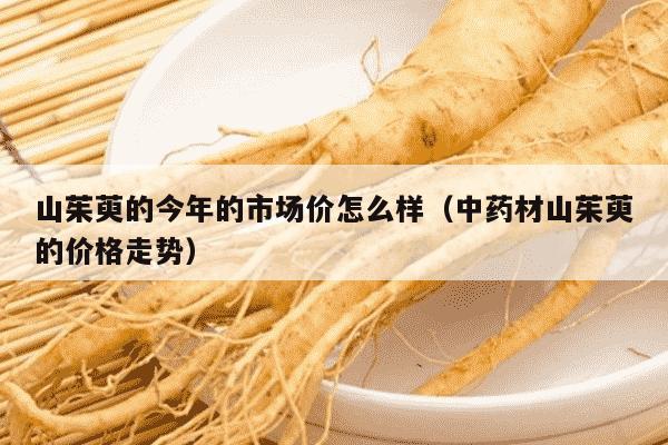 山茱萸的今年的市场价怎么样（中药材山茱萸的价格走势）