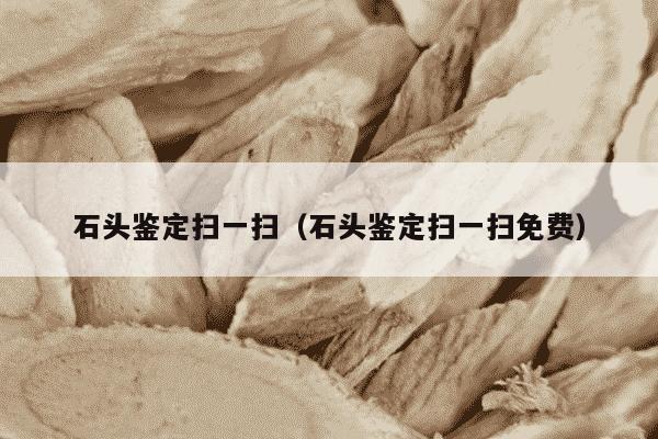 石头鉴定扫一扫（石头鉴定扫一扫免费）