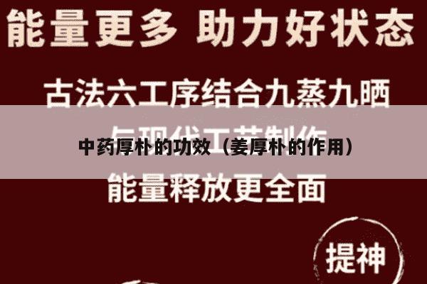 中药厚朴的功效（姜厚朴的作用）
