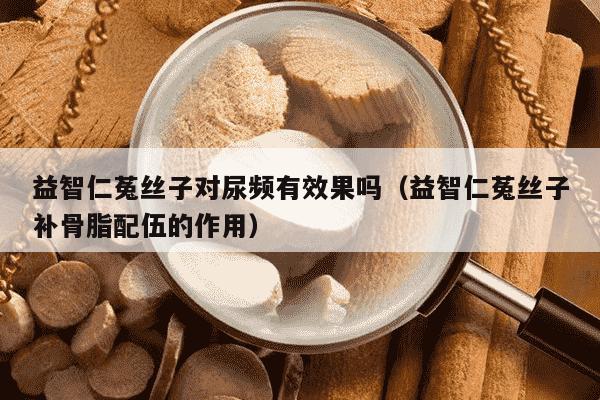 益智仁菟丝子对尿频有效果吗（益智仁菟丝子补骨脂配伍的作用）