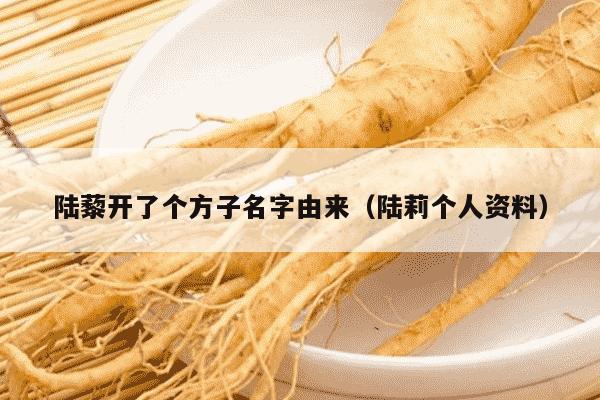 陆藜开了个方子名字由来（陆莉个人资料）