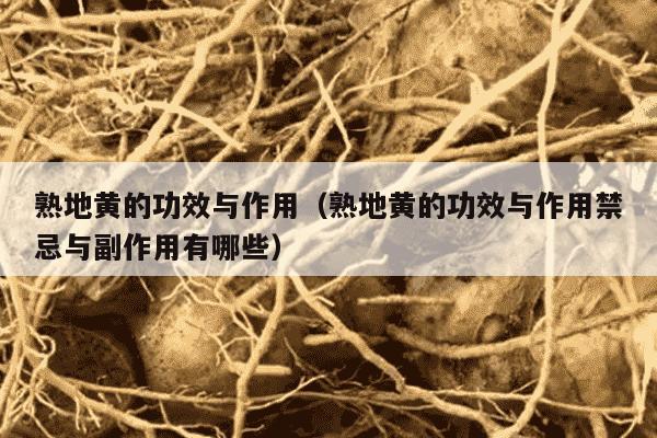 熟地黄的功效与作用（熟地黄的功效与作用禁忌与副作用有哪些）