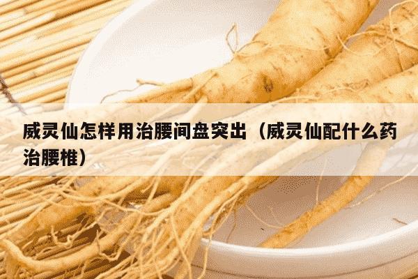 威灵仙怎样用治腰间盘突出（威灵仙配什么药治腰椎）