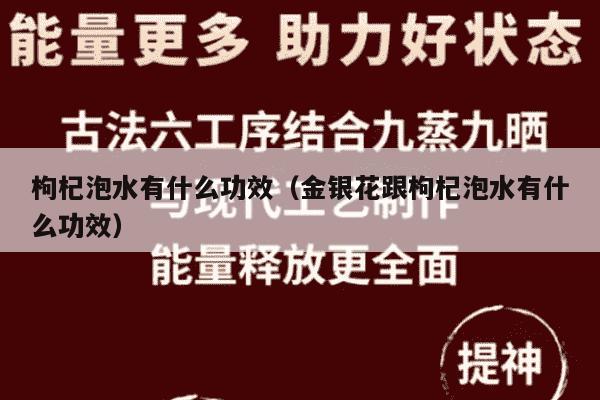 枸杞泡水有什么功效（金银花跟枸杞泡水有什么功效）