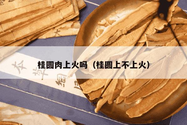 桂圆肉上火吗（桂圆上不上火）