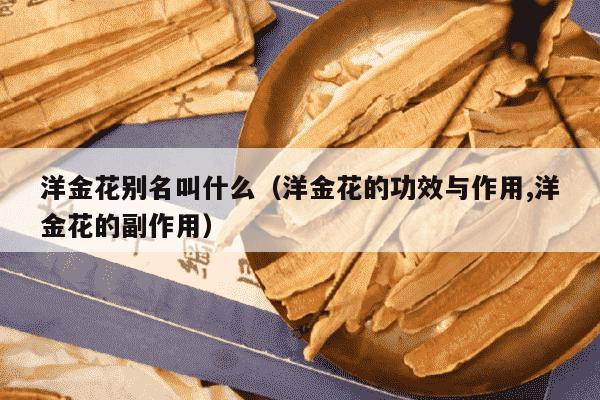 洋金花别名叫什么（洋金花的功效与作用,洋金花的副作用）