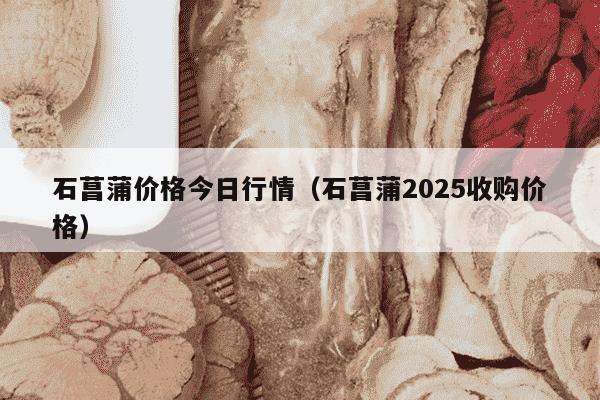石菖蒲价格今日行情（石菖蒲2025收购价格）