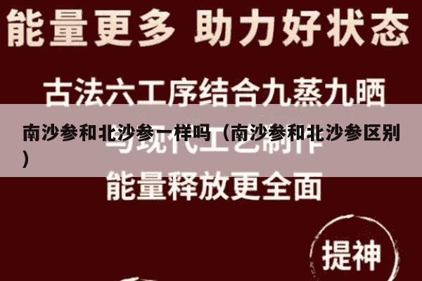 南沙参和北沙参一样吗（南沙参和北沙参区别）