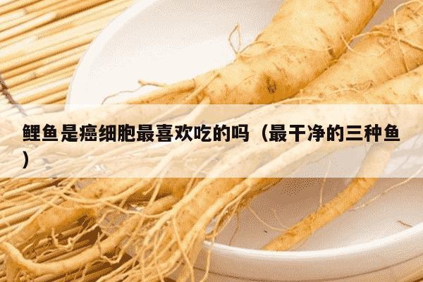 鲤鱼是癌细胞最喜欢吃的吗（最干净的三种鱼）