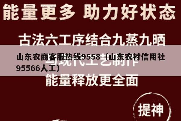 山东农商客服热线9558（山东农村信用社95566人工）