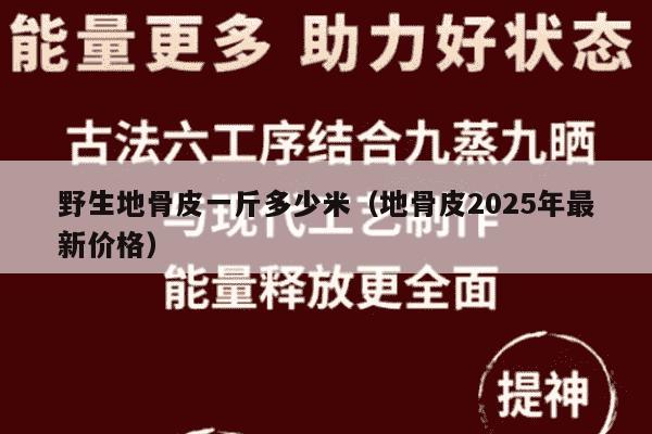 野生地骨皮一斤多少米（地骨皮2025年最新价格）