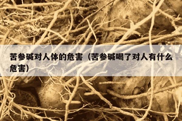 苦参碱对人体的危害（苦参碱喝了对人有什么危害）