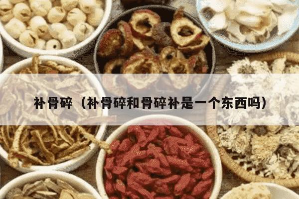 补骨碎（补骨碎和骨碎补是一个东西吗）