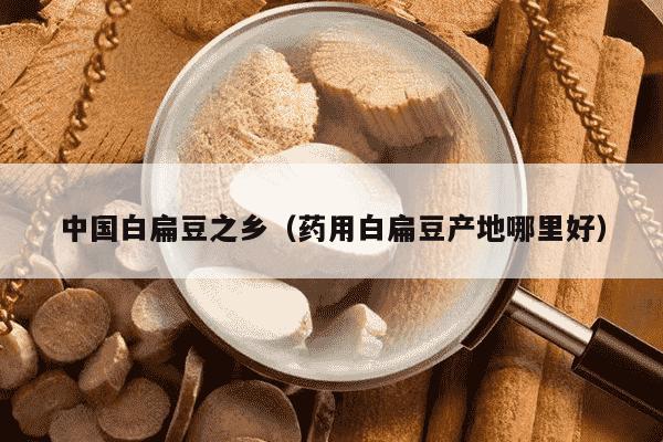 中国白扁豆之乡（药用白扁豆产地哪里好）