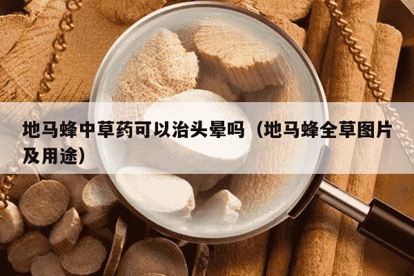地马蜂中草药可以治头晕吗（地马蜂全草图片及用途）