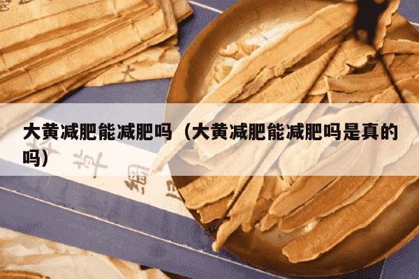 大黄减肥能减肥吗（大黄减肥能减肥吗是真的吗）