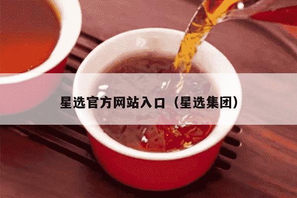 星选官方网站入口（星选集团）