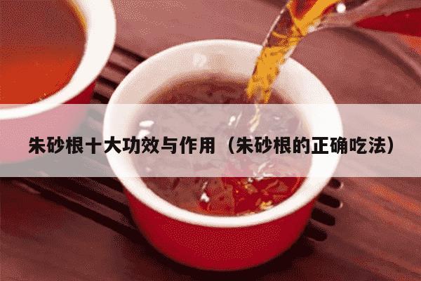 朱砂根十大功效与作用（朱砂根的正确吃法）