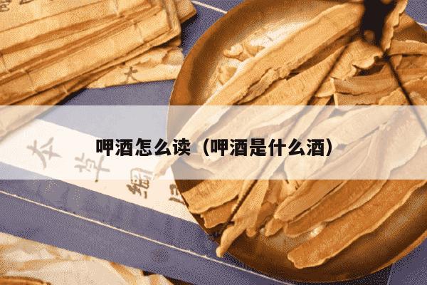呷酒怎么读（呷酒是什么酒）