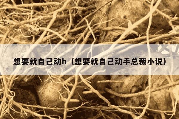 想要就自己动h（想要就自己动手总裁小说）