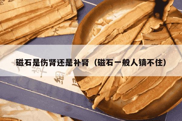 磁石是伤肾还是补肾（磁石一般人镇不住）