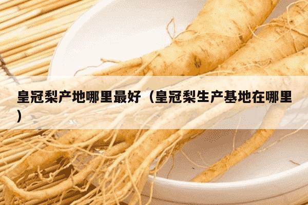皇冠梨产地哪里最好（皇冠梨生产基地在哪里）