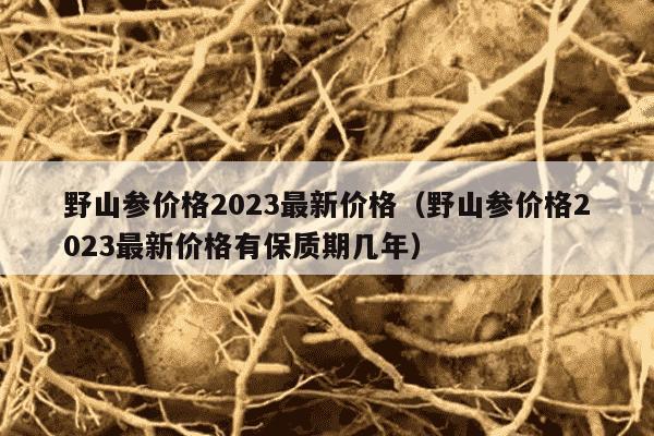 野山参价格2023最新价格（野山参价格2023最新价格有保质期几年）
