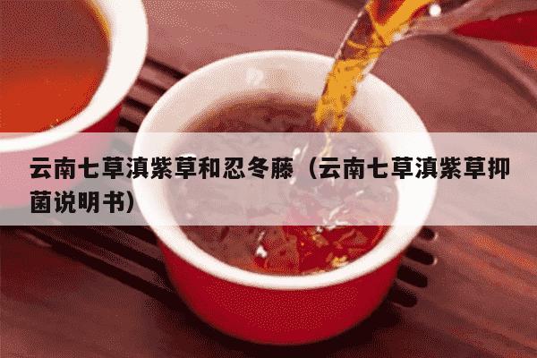 云南七草滇紫草和忍冬藤（云南七草滇紫草抑菌说明书）