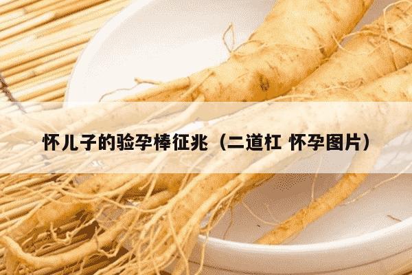 怀儿子的验孕棒征兆（二道杠 怀孕图片）