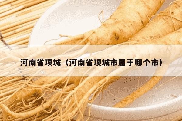 河南省项城（河南省项城市属于哪个市）