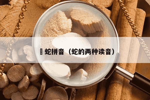 蔪蛇拼音（蛇的两种读音）