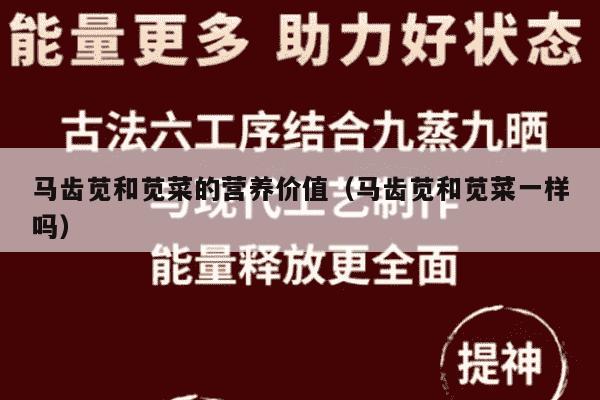 马齿苋和苋菜的营养价值（马齿苋和苋菜一样吗）