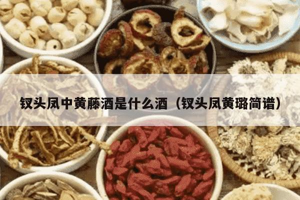 钗头凤中黄藤酒是什么酒（钗头凤黄璐简谱）