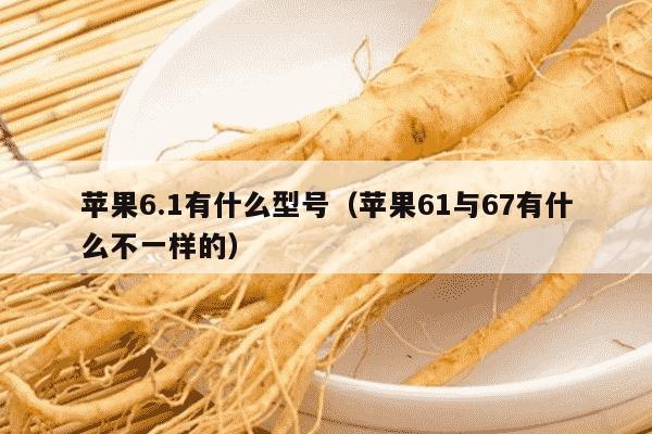 苹果6.1有什么型号（苹果61与67有什么不一样的）