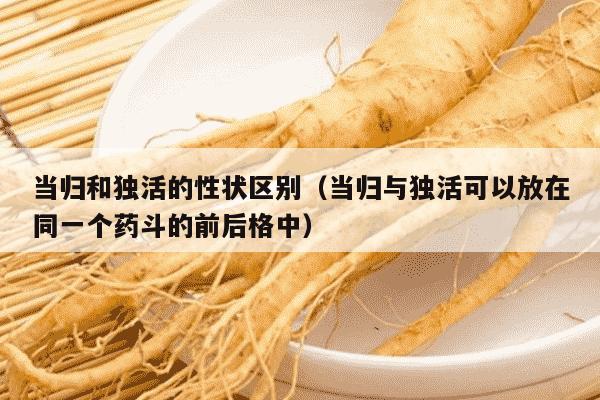 当归和独活的性状区别（当归与独活可以放在同一个药斗的前后格中）