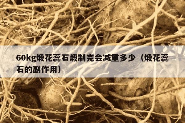 60kg煅花蕊石煅制完会减重多少（煅花蕊石的副作用）
