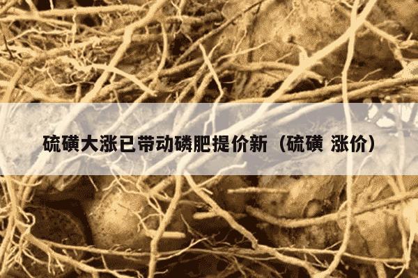 硫磺大涨已带动磷肥提价新（硫磺 涨价）