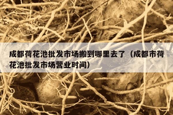 成都荷花池批发市场搬到哪里去了（成都市荷花池批发市场营业时间）