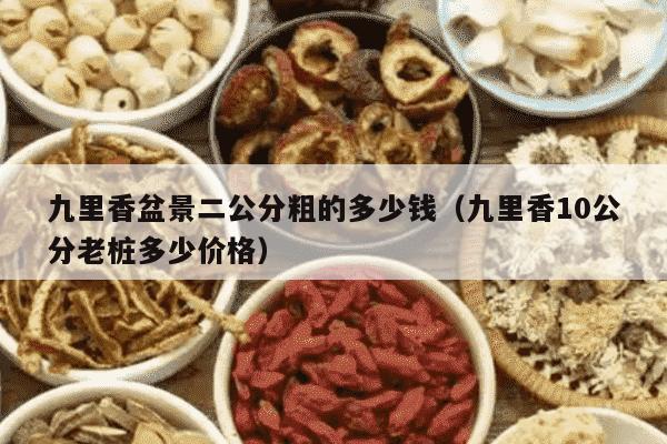 九里香盆景二公分粗的多少钱（九里香10公分老桩多少价格）