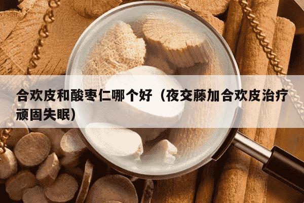 合欢皮和酸枣仁哪个好（夜交藤加合欢皮治疗顽固失眠）