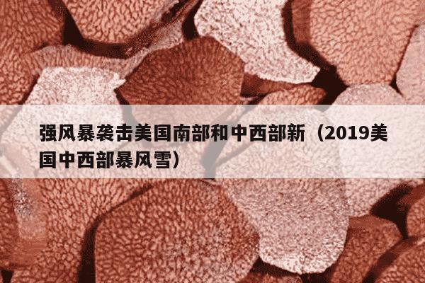 强风暴袭击美国南部和中西部新（2019美国中西部暴风雪）