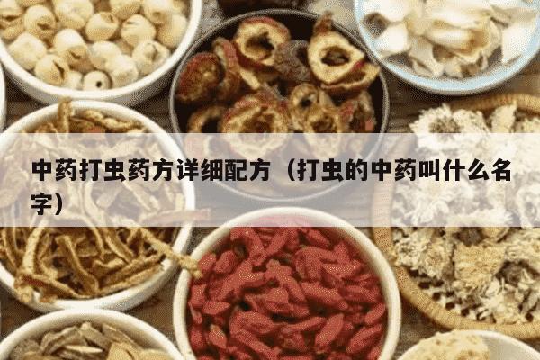中药打虫药方详细配方（打虫的中药叫什么名字）