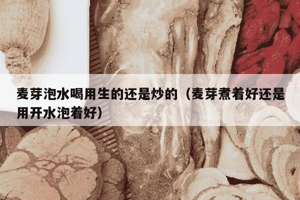 麦芽泡水喝用生的还是炒的（麦芽煮着好还是用开水泡着好）