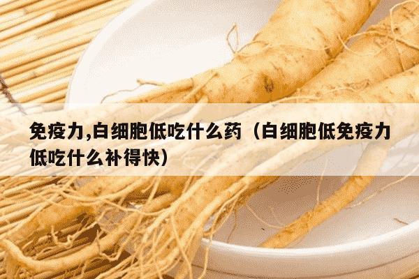 免疫力,白细胞低吃什么药（白细胞低免疫力低吃什么补得快）