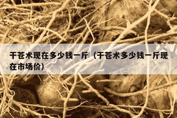 干苍术现在多少钱一斤（干苍术多少钱一斤现在市场价）